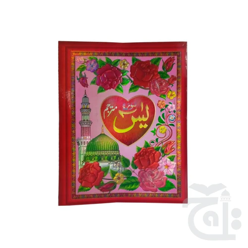 Surah Yaseen Translated 16 Pages 87KF